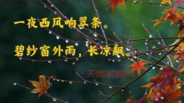一场秋雨，寒风瑟瑟？秋雨过后，秋意渐浓，添衣御寒正当时