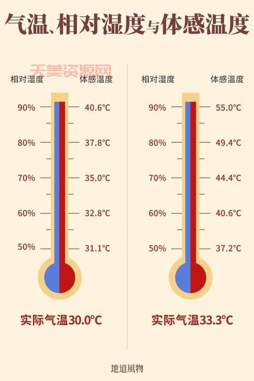 体感温度是什么？解析气温与真实感受的差异