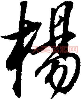 杨字怎么读？拼音与常见解释