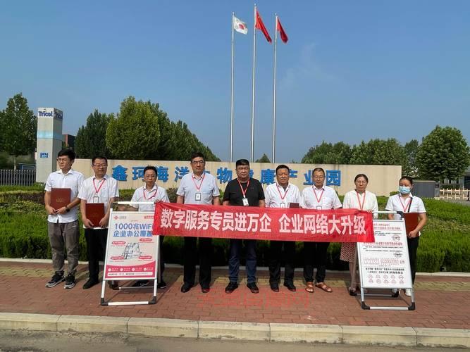 探索12335一站式服务平台：中小企业的可靠合作伙伴
