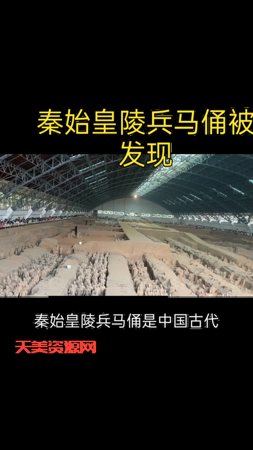 关于秦兵马俑的资料：考古发现与文化价值全解析
