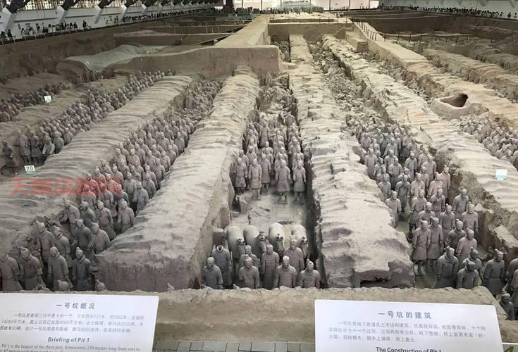 关于秦兵马俑的资料：考古发现与文化价值全解析