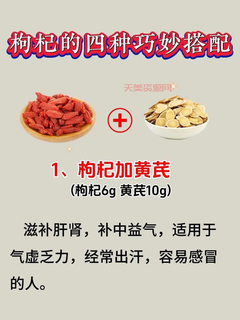 榭寄生用途多，祛风湿补肝肾，你了解多少？