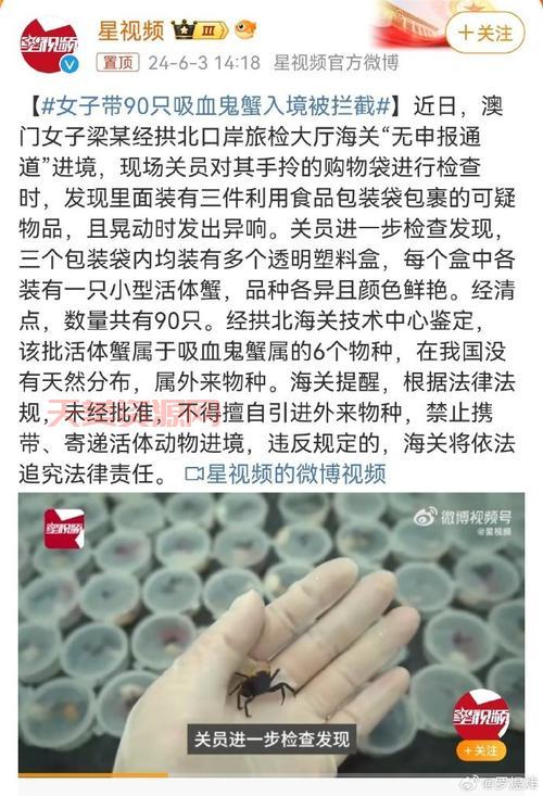 鬼蟹跑得有多快？实拍视频让你大开眼界！