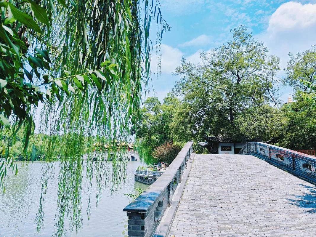 除了美人卷珠帘，还有哪些诗词也很美？快来学学！