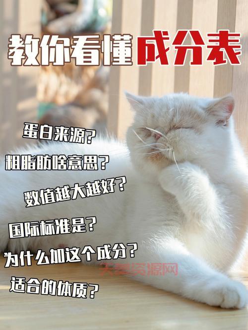 别再读错啦！“潸”字的正确读音和含义，看这篇就够了！