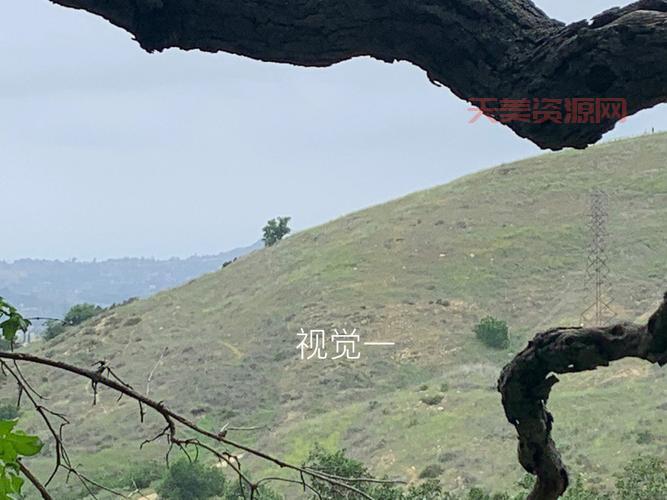 律香川是好人还是坏人？深度解析他的多面性！