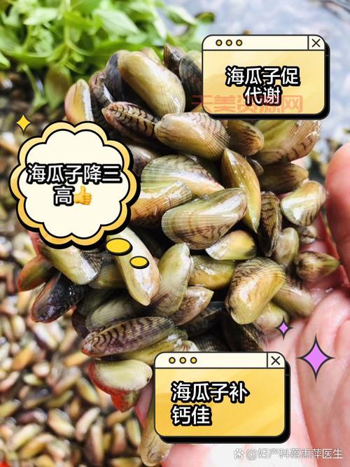 海瓜子有啥营养价值？孕妇小孩能不能放心吃？