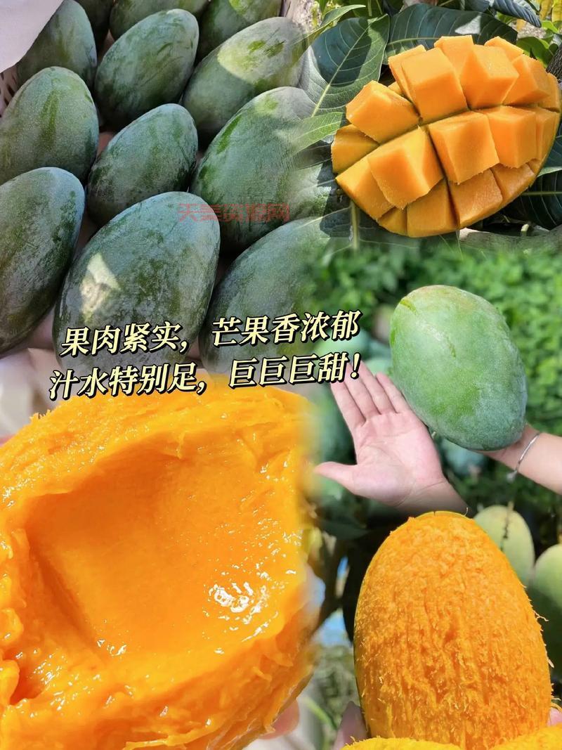 你知道芒果的英文吗？分享芒果的有趣小知识！