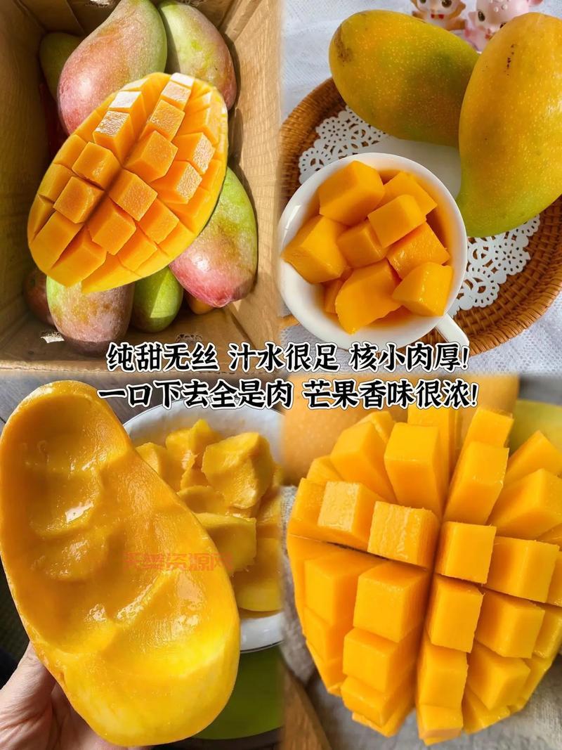 你知道芒果的英文吗？分享芒果的有趣小知识！