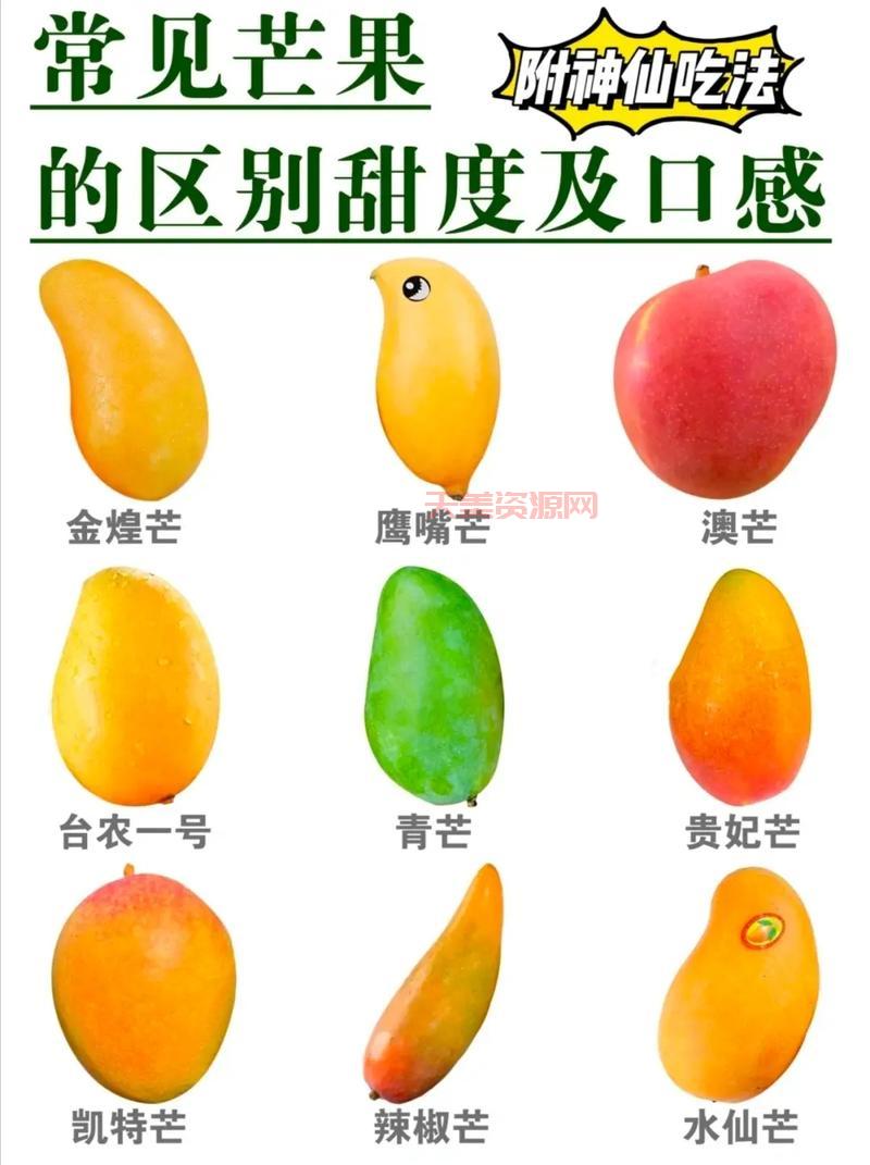 你知道芒果的英文吗？分享芒果的有趣小知识！