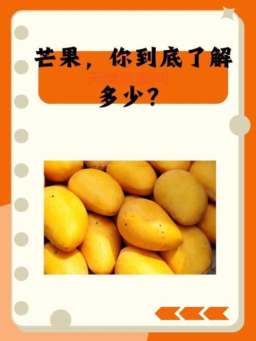 你知道芒果的英文吗？分享芒果的有趣小知识！