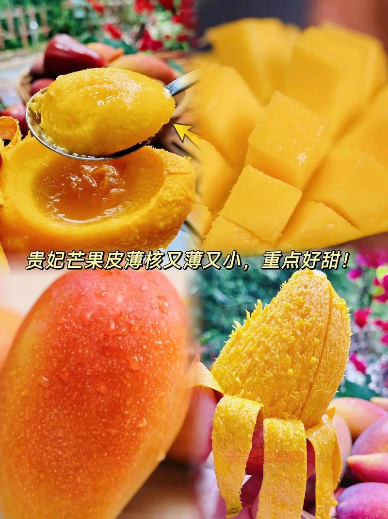 你知道芒果的英文吗？分享芒果的有趣小知识！