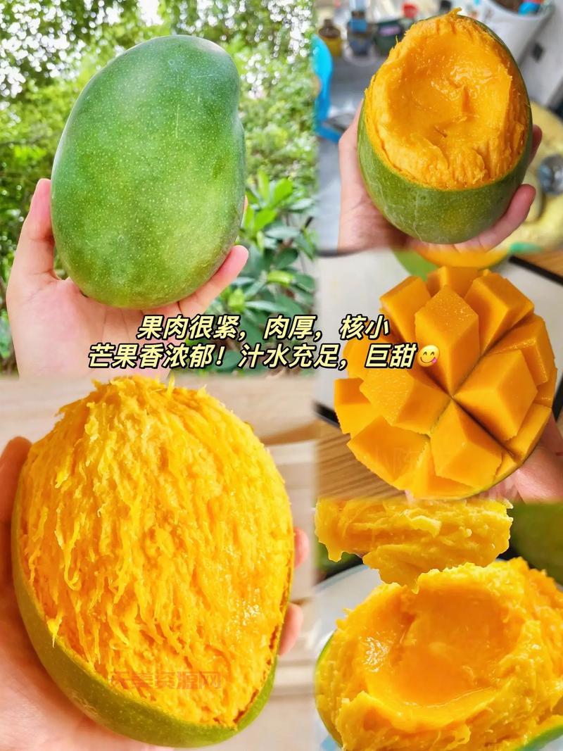 你知道芒果的英文吗？分享芒果的有趣小知识！