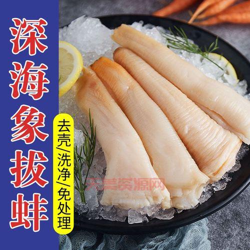 象拔多少钱一斤？不同品质的象拔价格差别大！