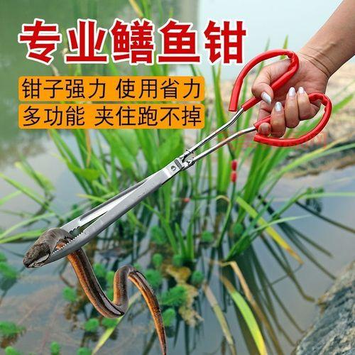 抓泥鳅的工具怎么选？选对工具效率翻倍！