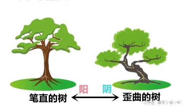 蚍蜉撼树什么意思？用大白话给你讲清楚！