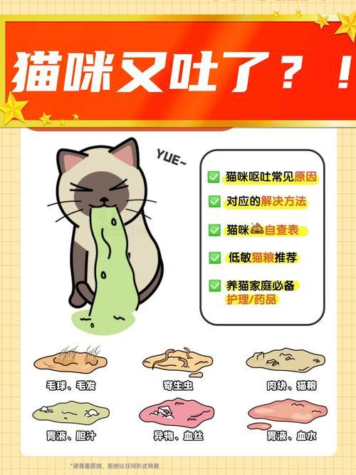 猫咪呕吐了怎么办？这几种情况铲屎官要注意！