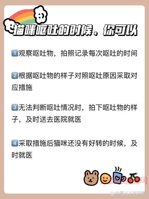 猫咪呕吐了怎么办？这几种情况铲屎官要注意！