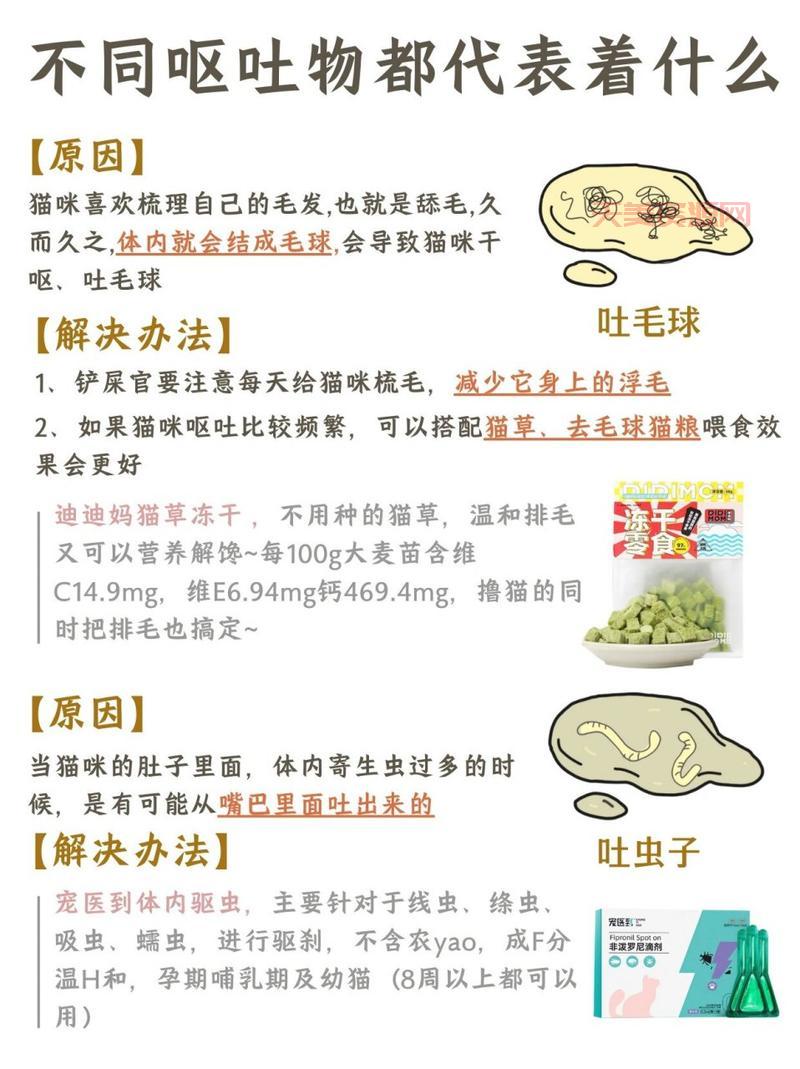 猫咪呕吐了怎么办？这几种情况铲屎官要注意！