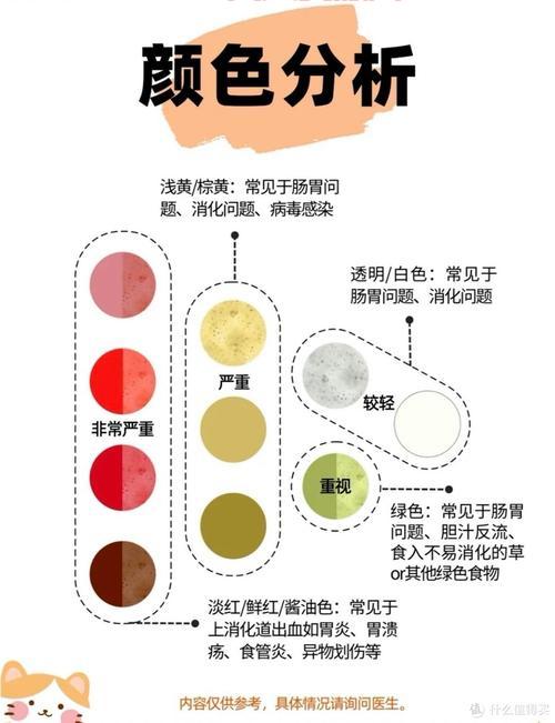 猫咪呕吐了怎么办？这几种情况铲屎官要注意！
