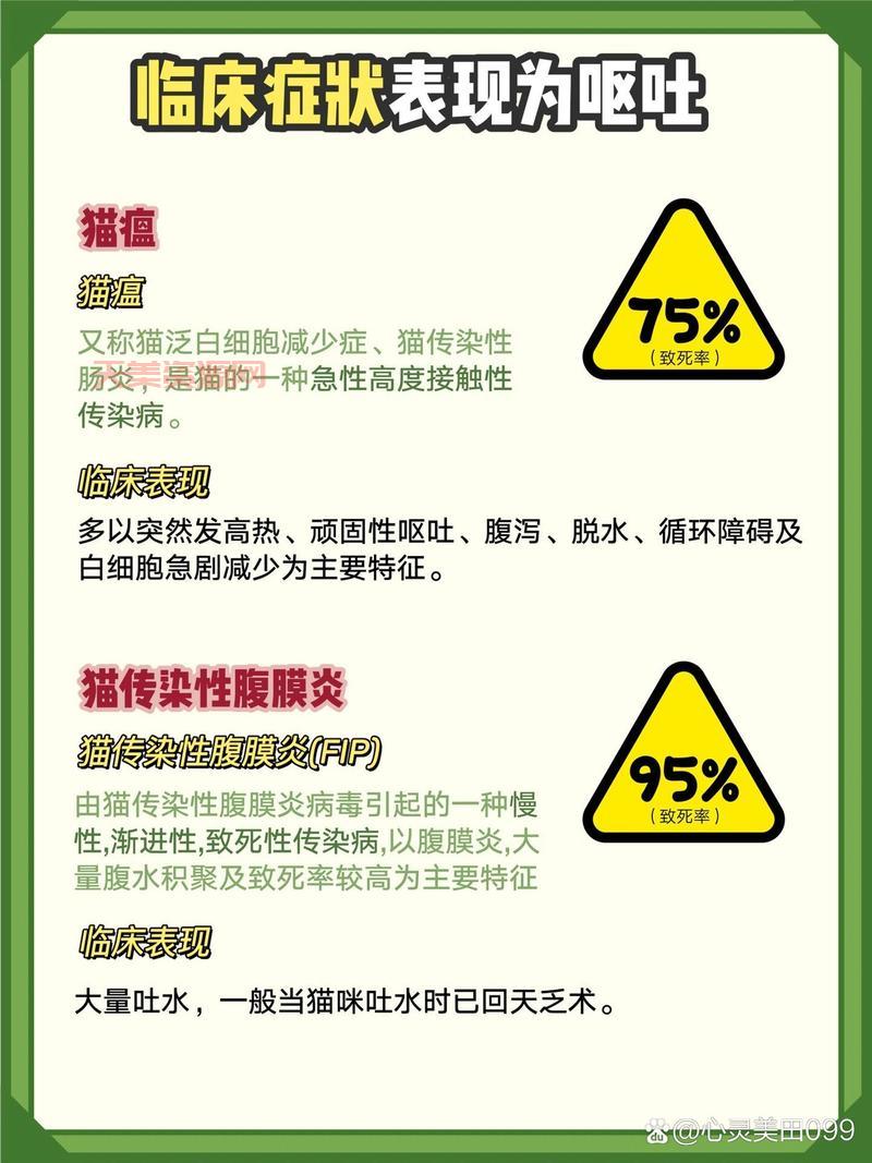 猫咪呕吐了怎么办？这几种情况铲屎官要注意！