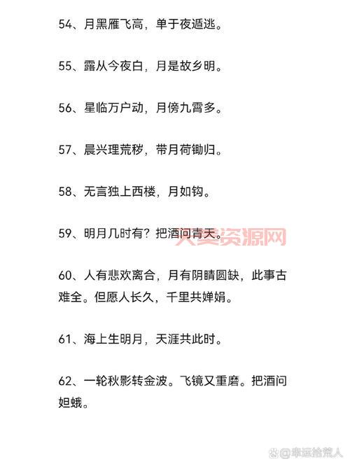 千里共婵娟上一句是什么？简单易懂的诗句解读！