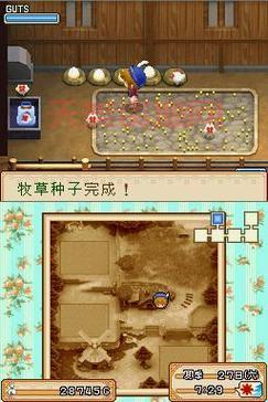 风之集市在哪里？新手快速入门攻略分享！