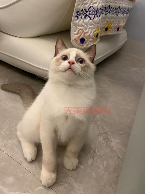 jb脸怎么形成的？这几种表情习惯让你变jb脸！