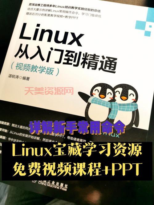 绘声绘影教程哪里找？推荐几个宝藏学习资源！