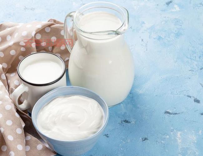 乳制品有哪些？这几种牛奶羊奶每天都能喝！