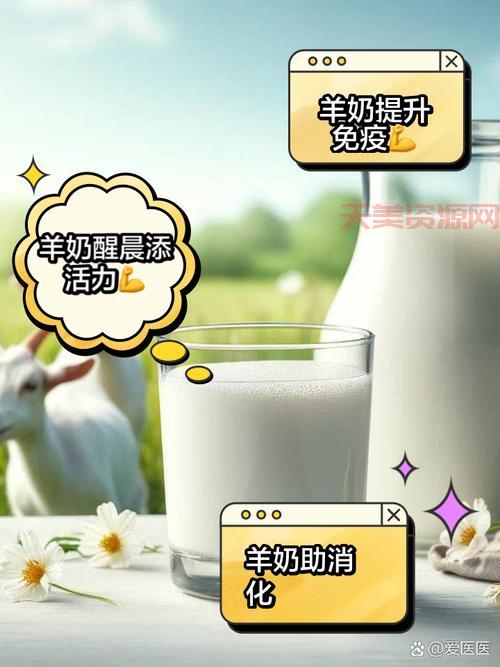 乳制品有哪些？这几种牛奶羊奶每天都能喝！
