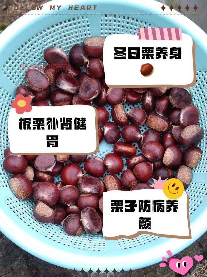 栗子怎么吃更健康？这些搭配营养翻倍！