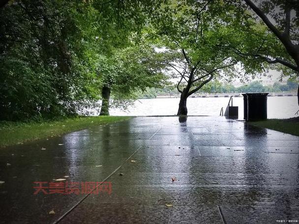 潇潇暮雨子规啼，这句诗是什么意境？让人心碎！