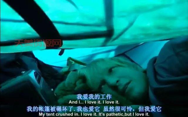 震撼！灰熊人主角遭熊袭击音频公开，还原惊魂时刻！