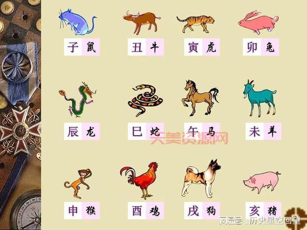 十二生肖最忠诚是什么生肖？看看哪个生肖最讲义气！
