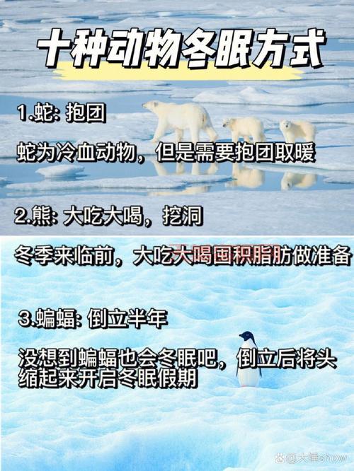 谁知道以下哪种动物会冬眠？一起涨知识吧！