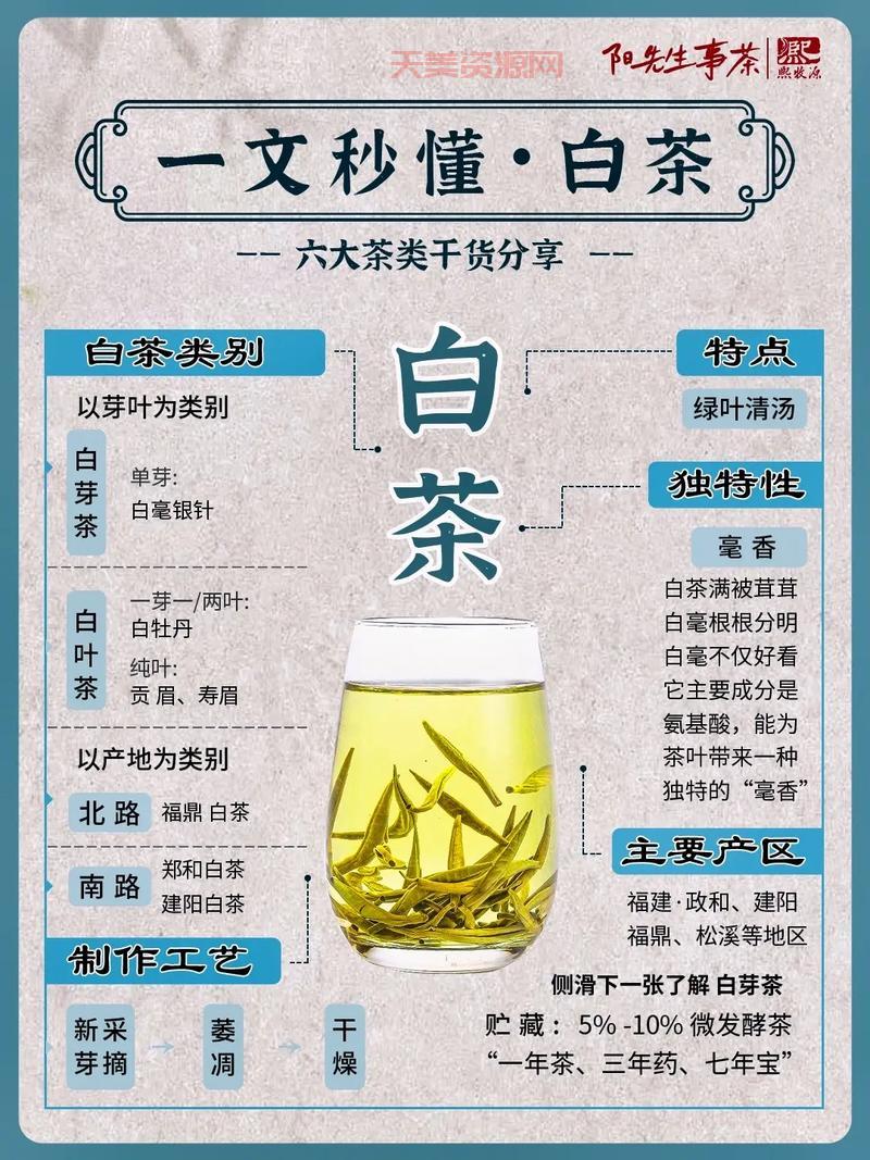 白茶的种类大全，一篇让你喝懂白茶！