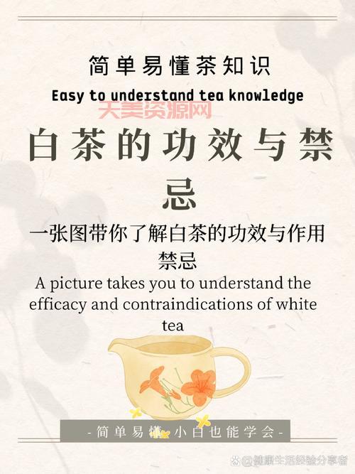 白茶的种类大全，一篇让你喝懂白茶！