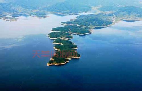 金蟾岛旅游攻略，吃喝玩乐全方位指南！