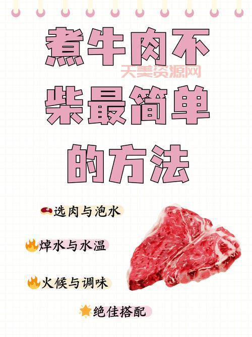 想知道煮牛肉放什么调料？这篇保姆级攻略收好！