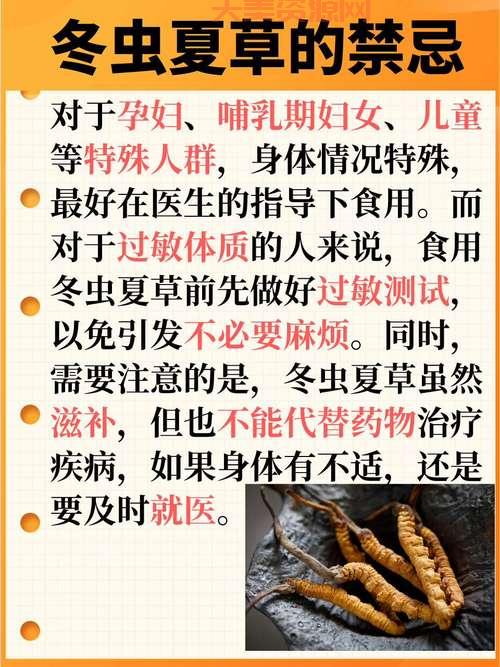冬虫夏草酒的功效大揭秘，长期喝了身体会怎样？
