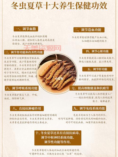 冬虫夏草酒的功效大揭秘，长期喝了身体会怎样？