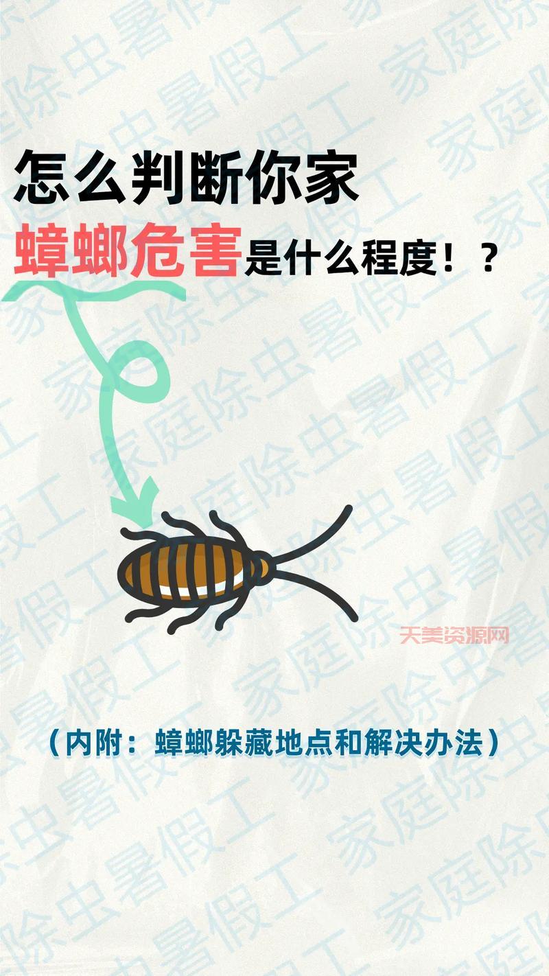 小蟑螂怕什么？用这些东西让它不敢来你家！