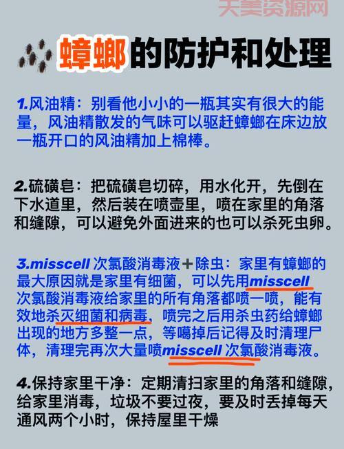 小蟑螂怕什么？用这些东西让它不敢来你家！