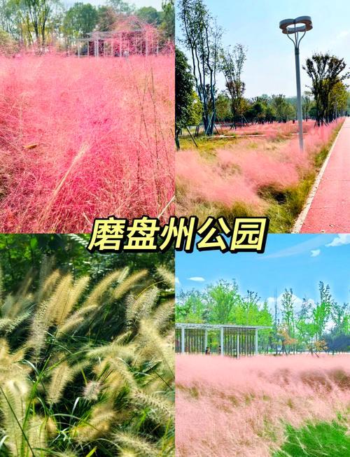 的秋天怎么玩？旅游达人推荐几个必打卡景点！