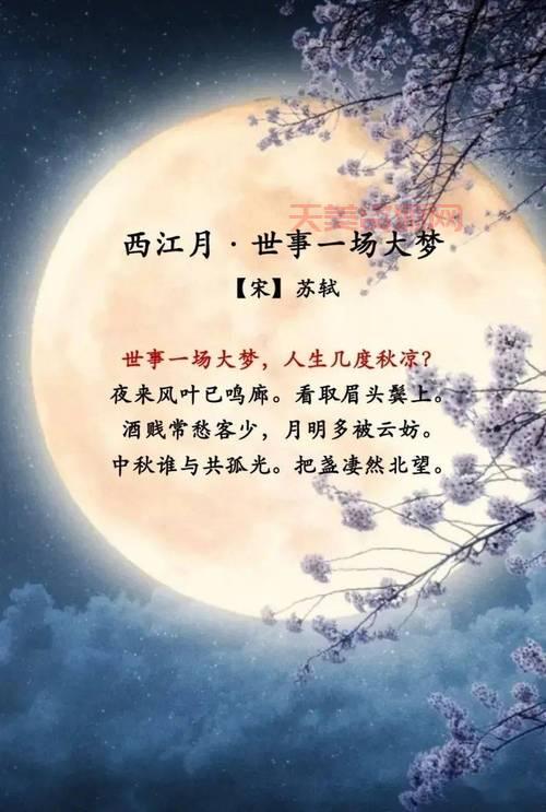 今人不见古时月下一句，这句诗词到底怎么接？