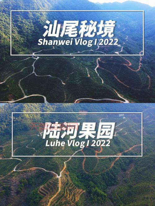 百度果园怎么玩？新手必看攻略(步骤详解)！