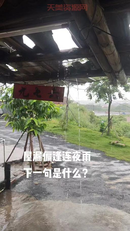 屋漏偏逢连夜雨下一句是什么？快来看看吧！