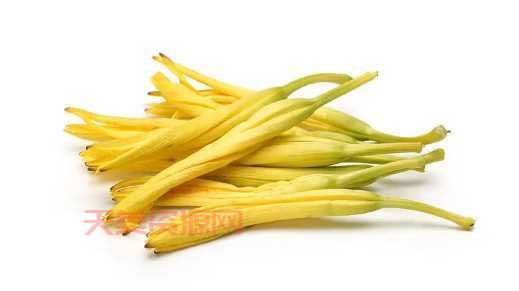 鲜黄花菜能吃吗？专家告诉你鲜黄花菜的真相！